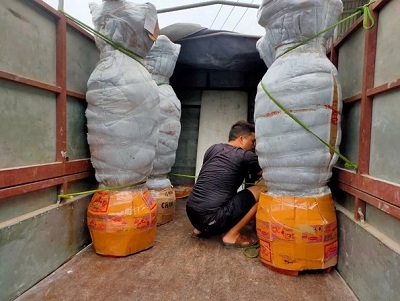 Vận chuyển lục gỗ hương đỏ tự nhiên tới nhà khách