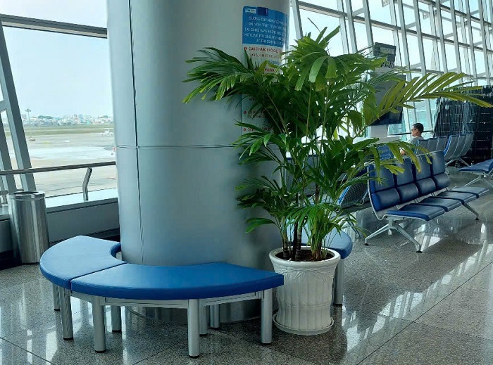 Ghế băng chờ sân bay tân sơn nhất bố trí quanh cột